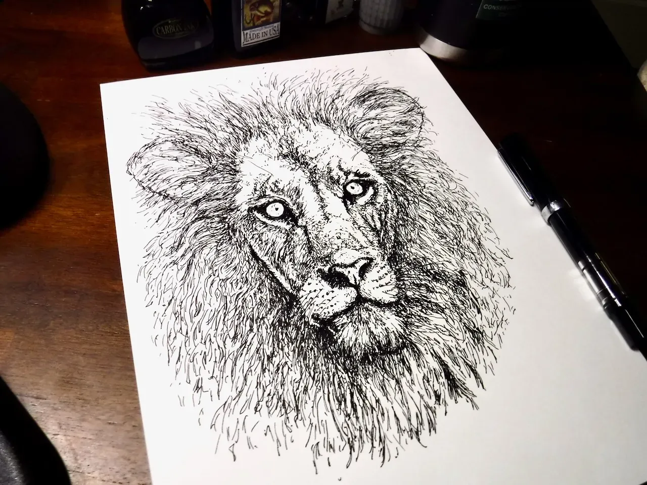 Detailed black ink portrait of a lion drawn on white paper